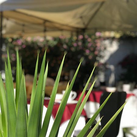 Grace Valley Hotel Arequipa Luaran gambar