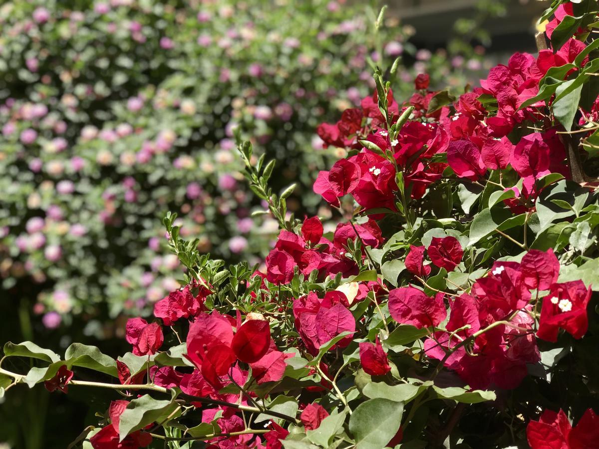 Grace Valley Hotel Arequipa Luaran gambar