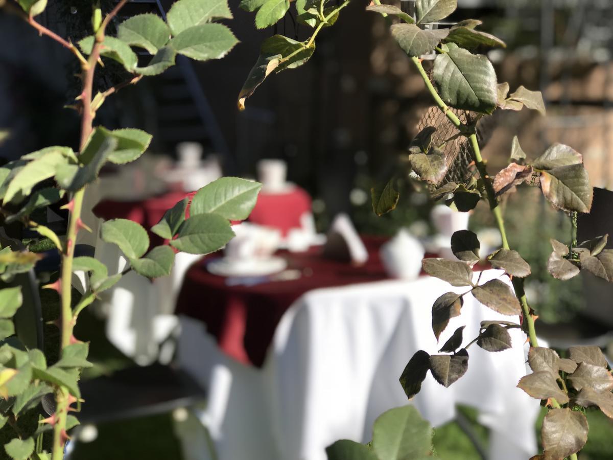 Grace Valley Hotel Arequipa Luaran gambar