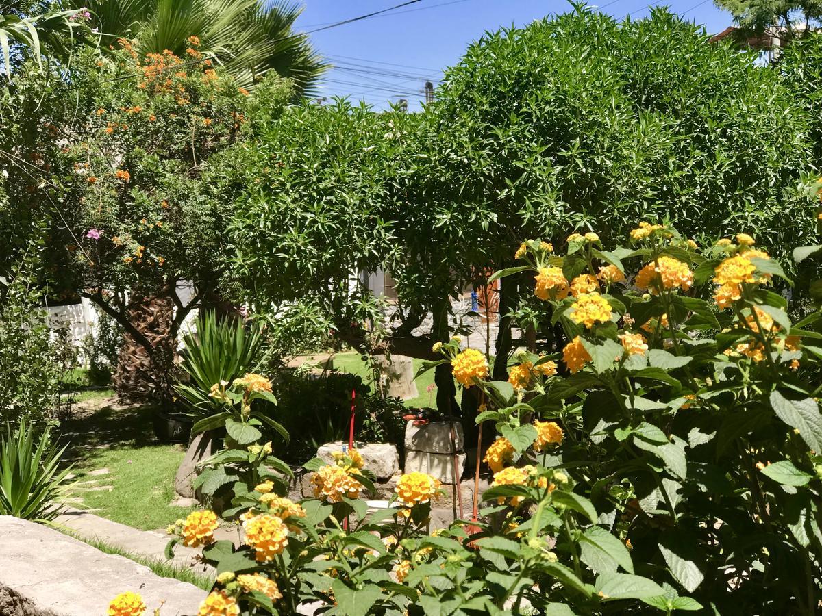 Grace Valley Hotel Arequipa Luaran gambar