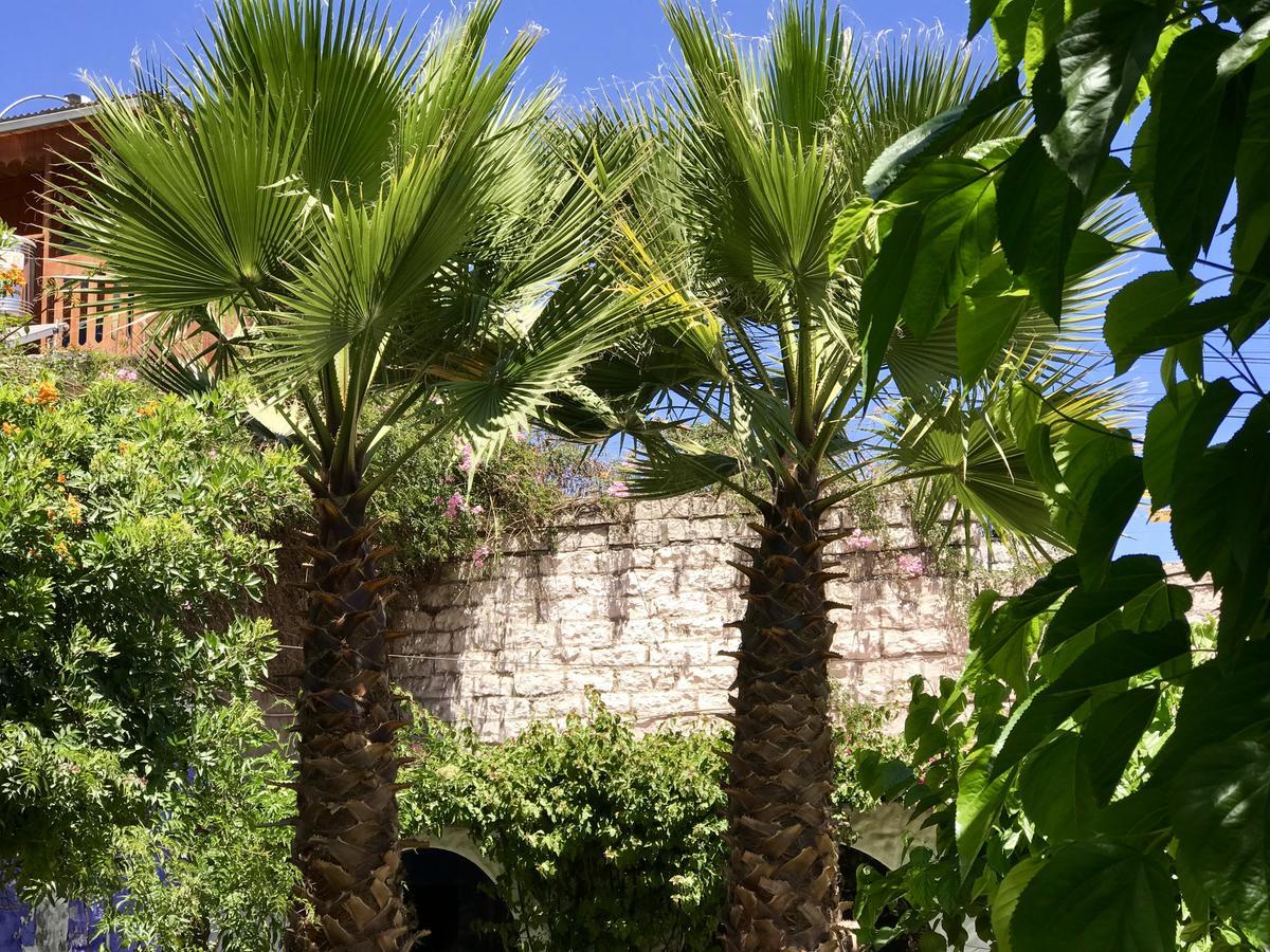 Grace Valley Hotel Arequipa Luaran gambar