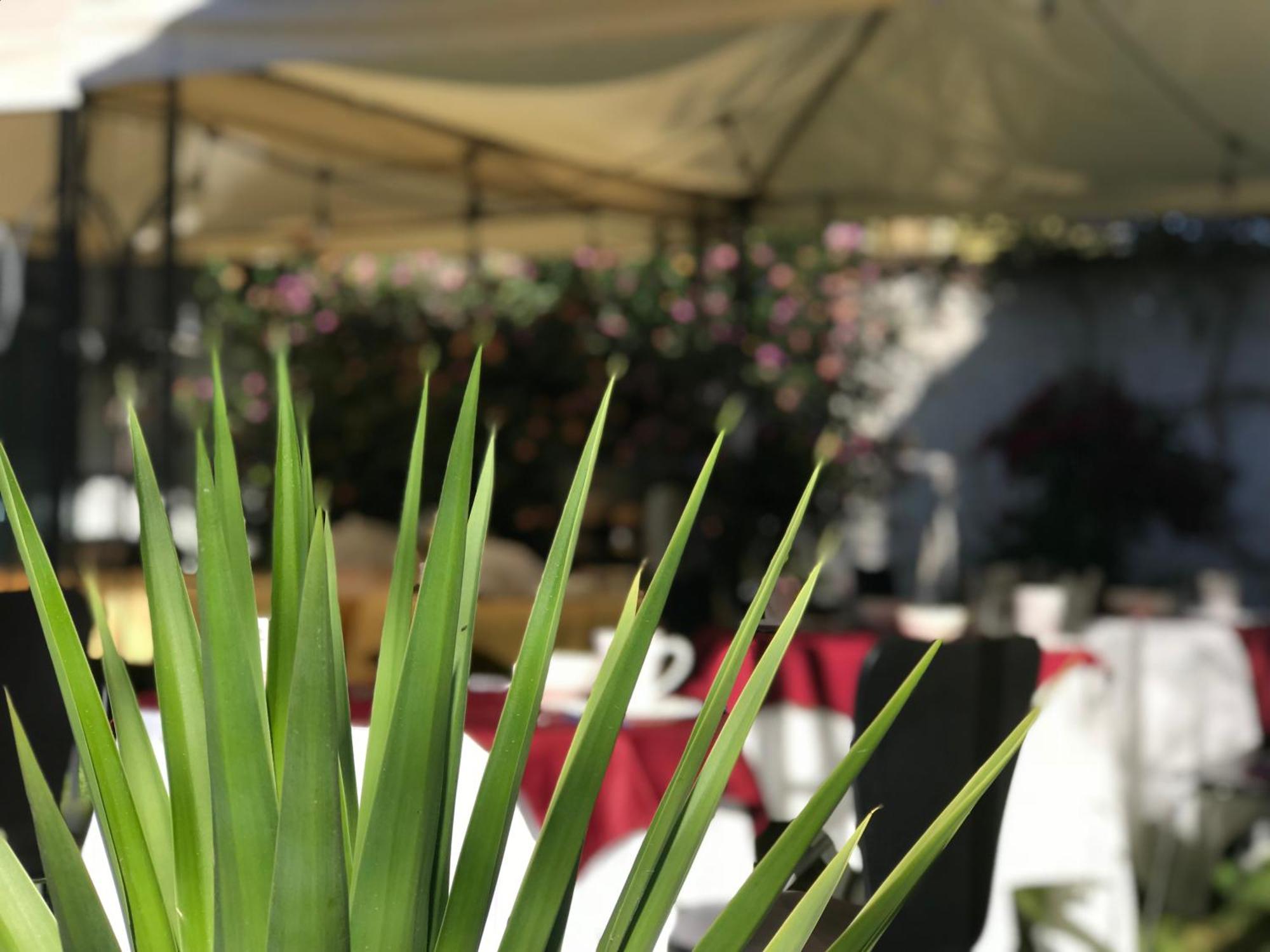 Grace Valley Hotel Arequipa Luaran gambar