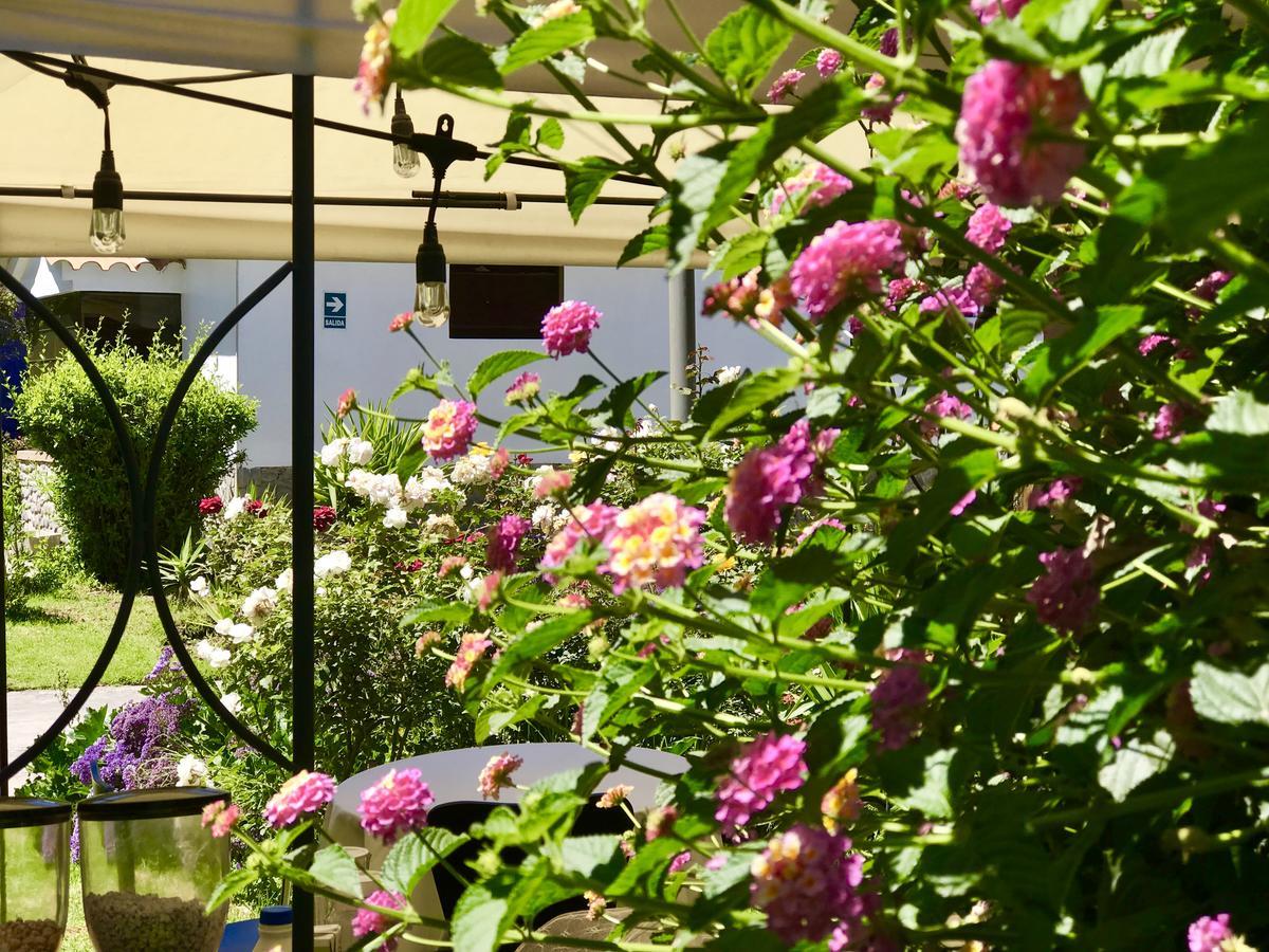 Grace Valley Hotel Arequipa Luaran gambar