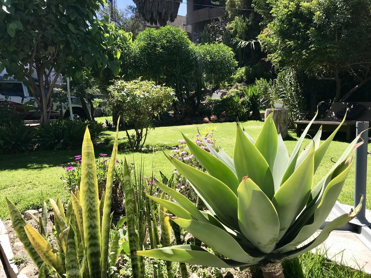 Grace Valley Hotel Arequipa Luaran gambar